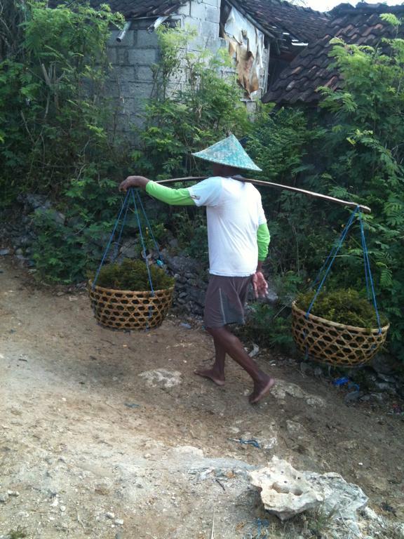 Dream Beach Villa Lembongan מראה חיצוני תמונה